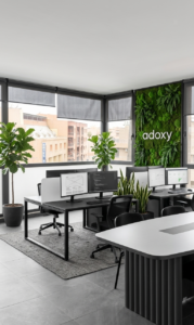 Bureau adoxy 2
